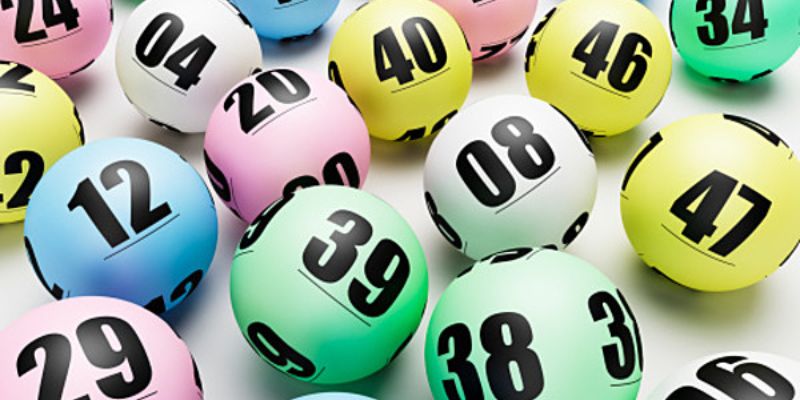 i9bet128 gà chọi cam ranh
