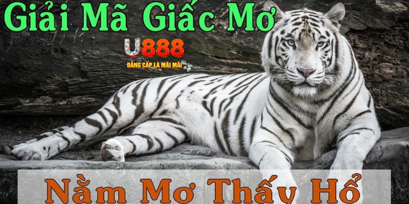 i9bet128 xổ số kiến thiết miền bắc
