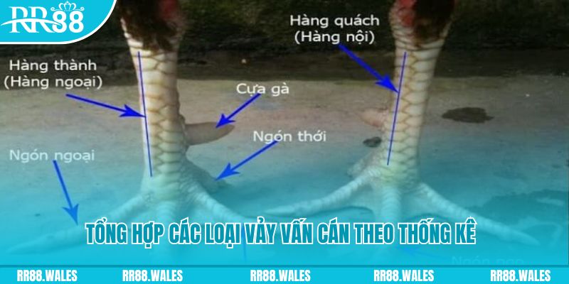 i9bet128 nổ hũ chơi như thế nào