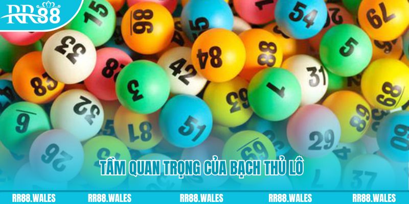 i9bet128 đá gà trực tiếp casino
