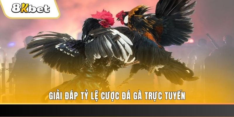 i9bet128 xổ số ba đài