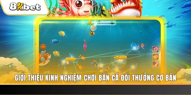 i9bet128 8 bí ẩn chơi nổ hũ ít ai biết