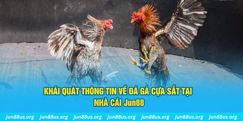 i9bet128 game bài trên máy tính