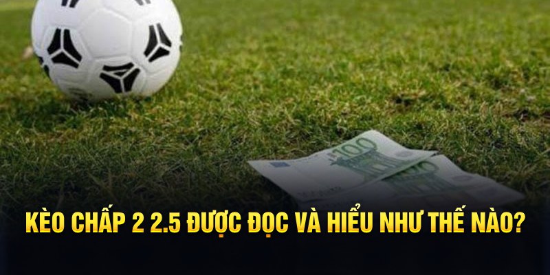 i9bet128 đá gà thomo