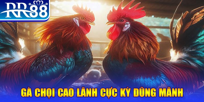 i9bet128 natural” trong baccarat nghĩa là gì？
